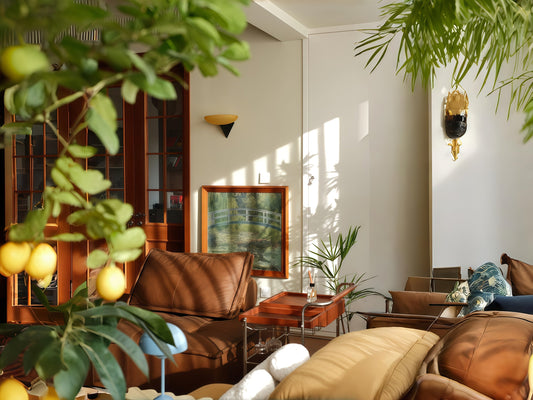 Embracing Harmony: A Modern Living Space Infused with Nature and Art