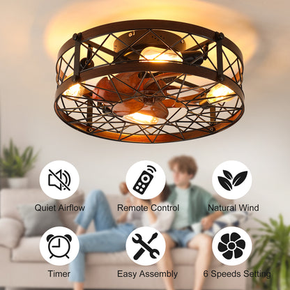 20-Inch Caged Ceiling Fan with Light