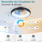 20-inch Black LED Ceiling Fan Light