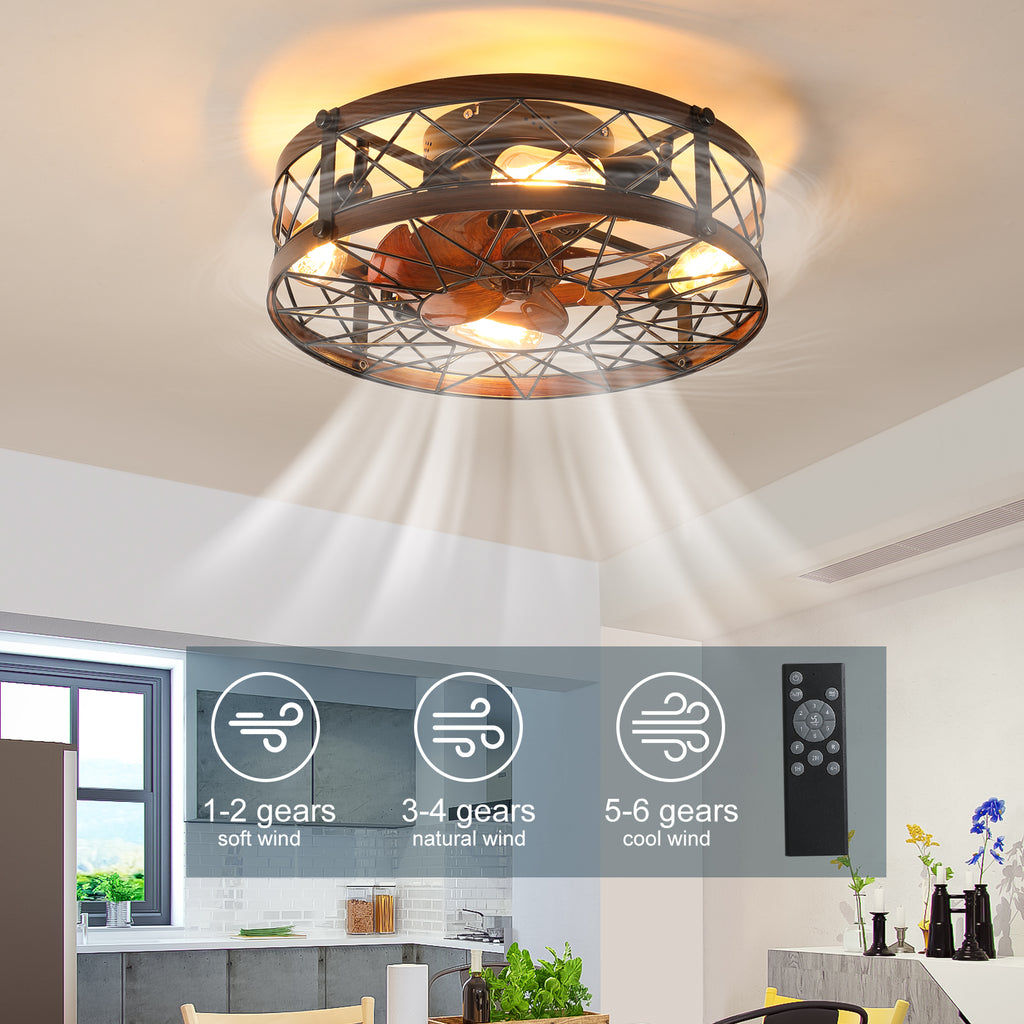 20-Inch Caged Ceiling Fan with Light