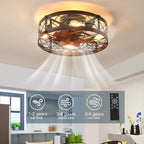 20-Inch Caged Ceiling Fan with Light