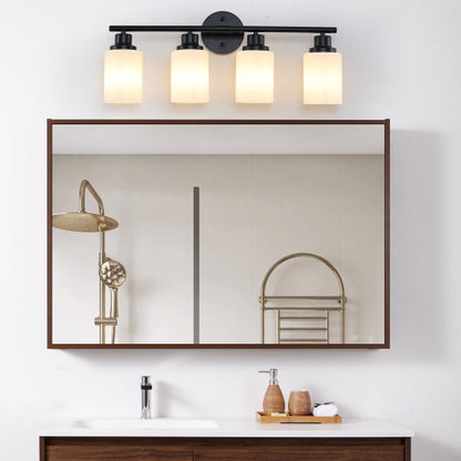 Modern Vanity Bathroom Mirror Light, Frosted White Glass  (Bulb Not Included)